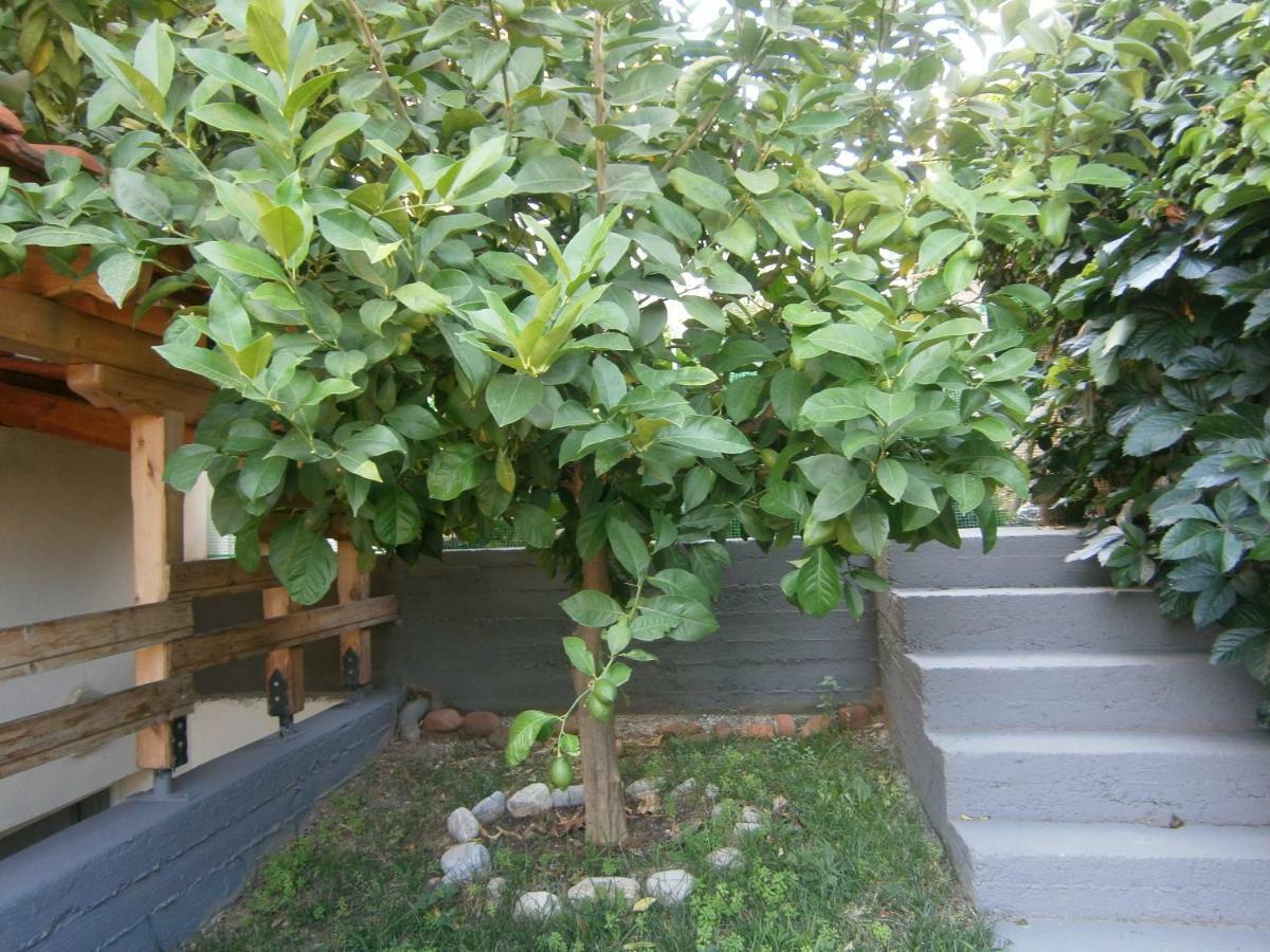 Green Garden Kavala Exterior foto